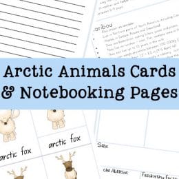 FREE Arctic Animal Cards and Notebooking Pages