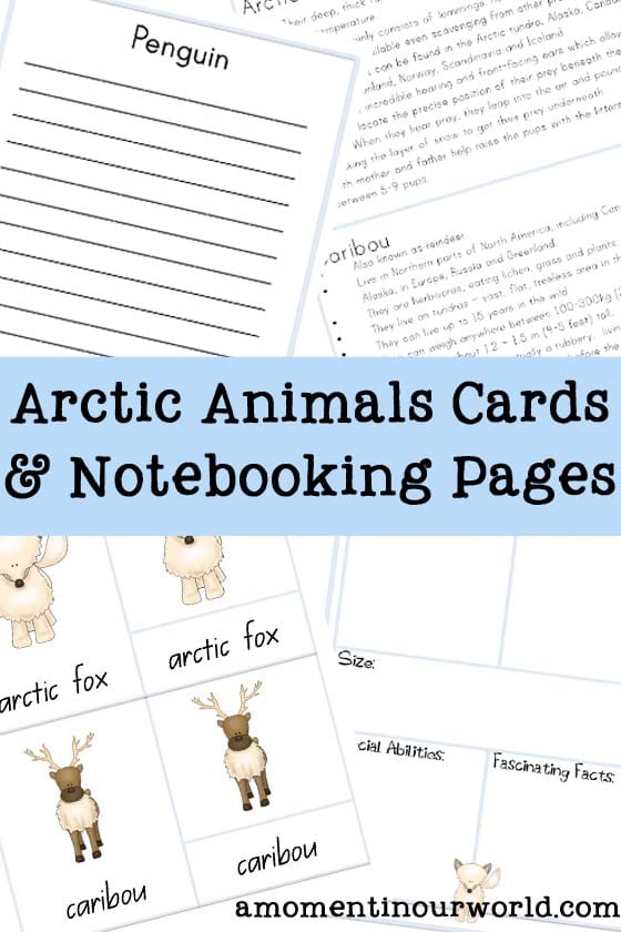 FREE Arctic Animal Cards and Notebooking Pages