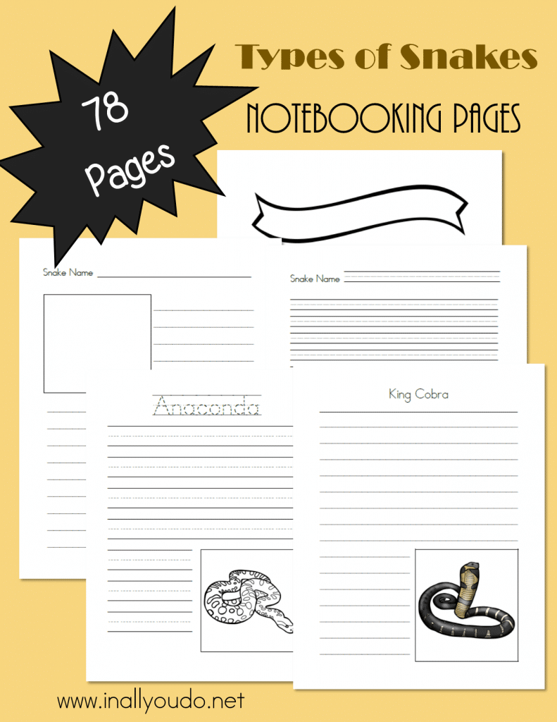 FREE Snakes Notebooking Pages