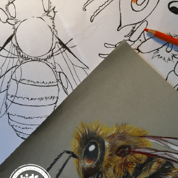 FREE honeybee Printables