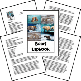 FREE Bears Lapbook