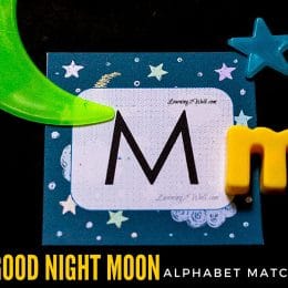 FREE GOod Night Moon Printables