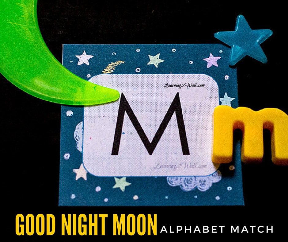 FREE GOod Night Moon Printables