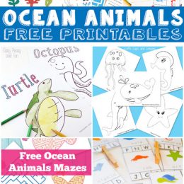 FREE Ocean Animals pack