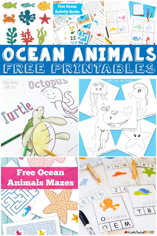 FREE Ocean Animals pack