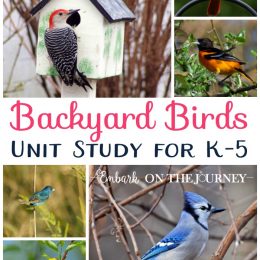 FREE Backyard Birds Unit Study