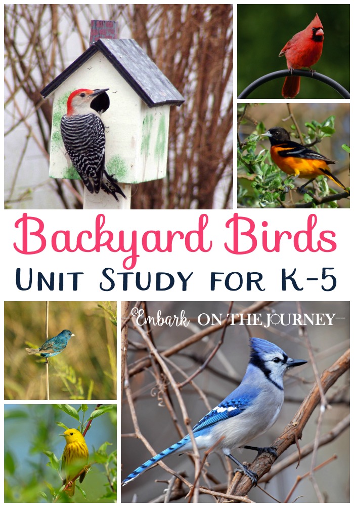 FREE Backyard Birds Unit Study