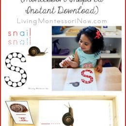 FREE Snail Dot a Dot Pages