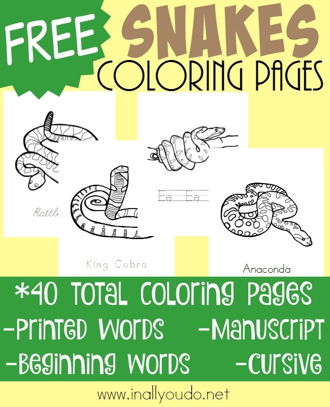 FREE Types of Snakes Printables