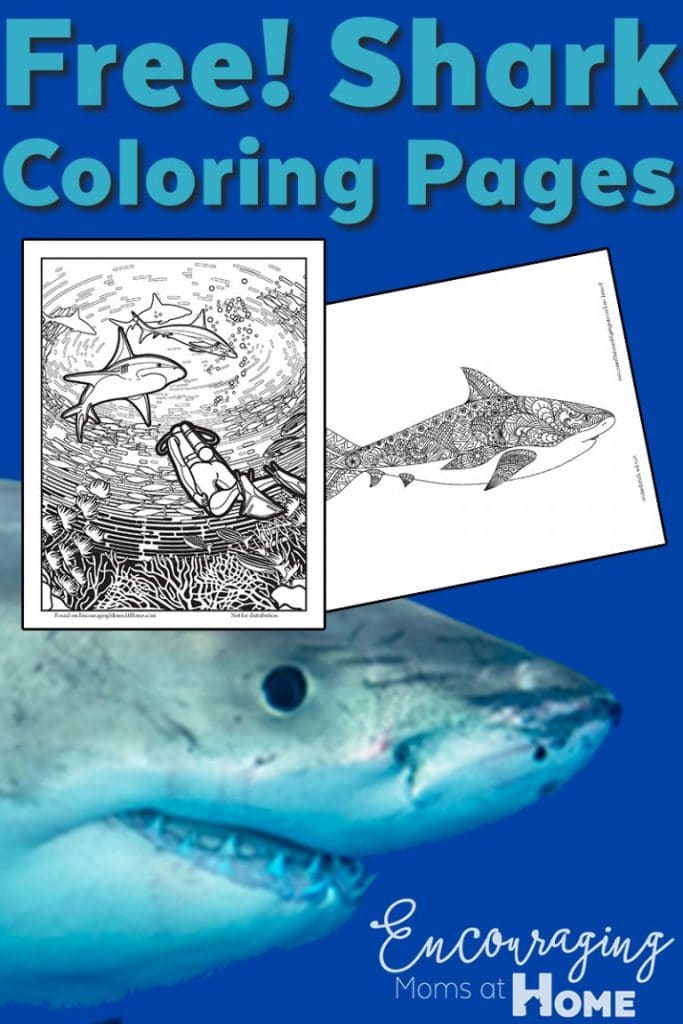 FREE Shark Coloring Pages