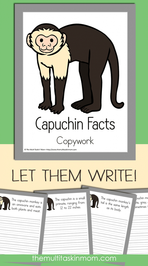 FREE Capuchin Pack