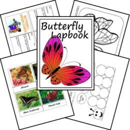 FREE Butterfly Lapbook