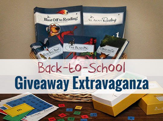 Homeschool Giveaway: All About Reading Level 1 + Deluxe Interactive Kit