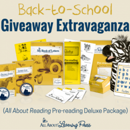 Homeschool Giveaway: All About Reading Pre-Reading Deluxe Package