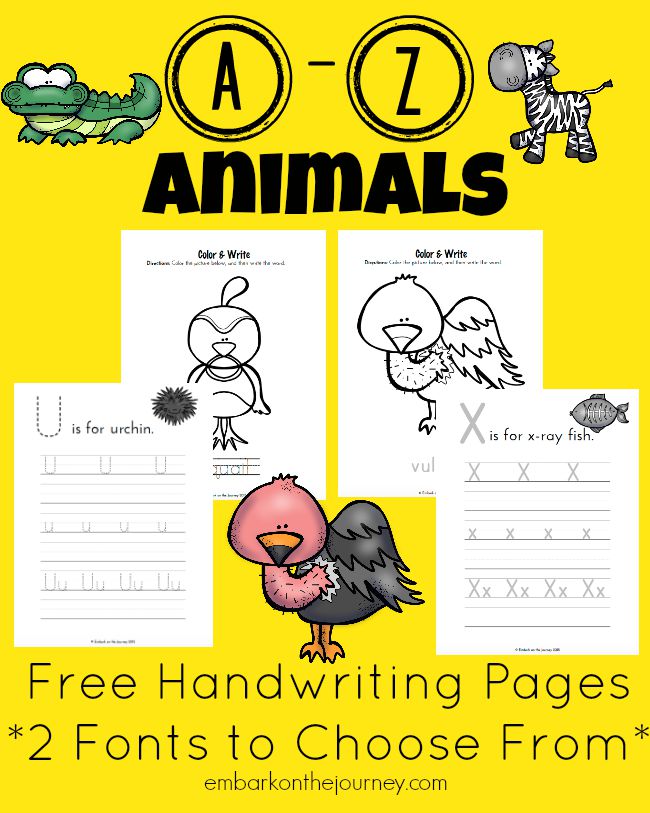 FREE Animal Writing Pages