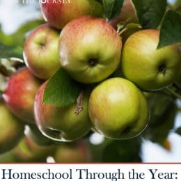 FREE September Homeschool Ideas