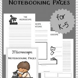 FREE Microscope Notebooking Pages