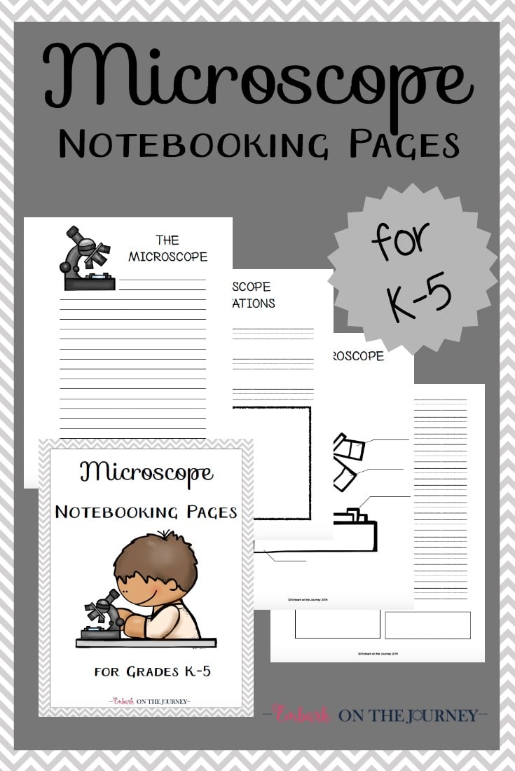 FREE Microscope Notebooking Pages