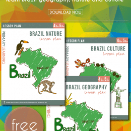 FREE Brazil Lesson Plans