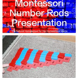 FREE Montessori Number Rods Printables