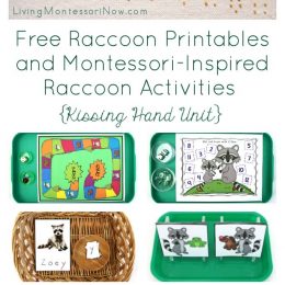 FREE Raccoon Printables