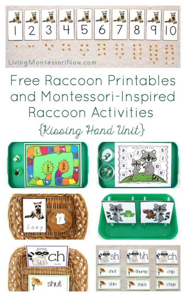 FREE Raccoon Printables