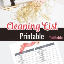 FREE Cleaning List