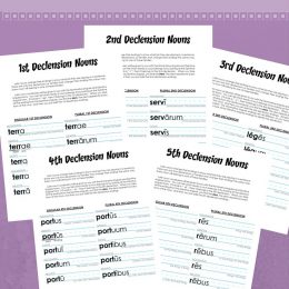 FREE Latin Noun Printables