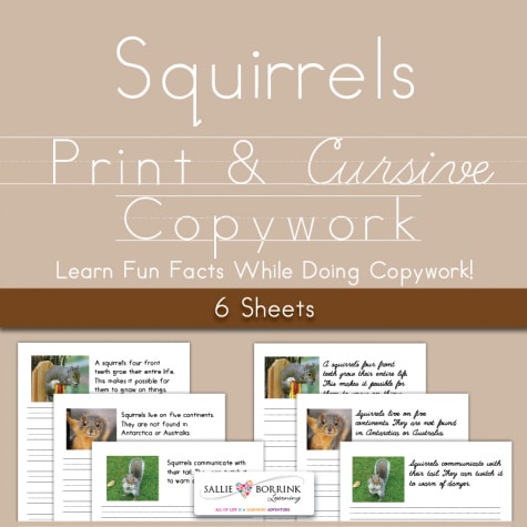 Free Squirrel Facts Copywork