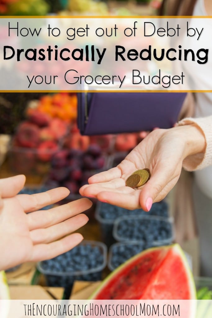 How to get out of Debt by Drastically Reducing your Grocery Budget