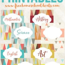 8 FREE SUBJECT BINDER PRINTABLES (Instant Download)