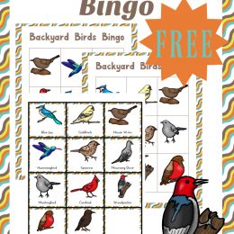 FREE BACKYARD BIRDS PACK (Instant Download)