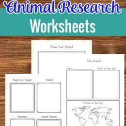 FREE Animal Research Worksheets