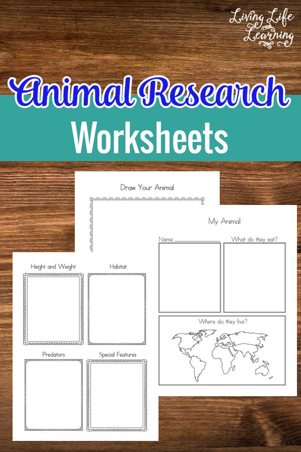 FREE Animal Research Worksheets