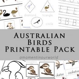 FREE Australian Birds Printables pack