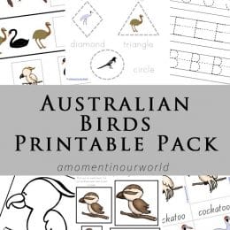 FREE Australian Birds Printables pack