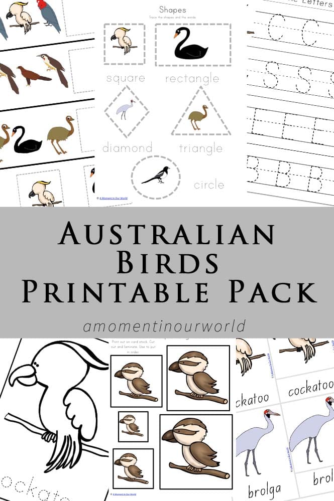 FREE Australian Birds Printables pack