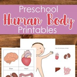 FREE Human Body Pack