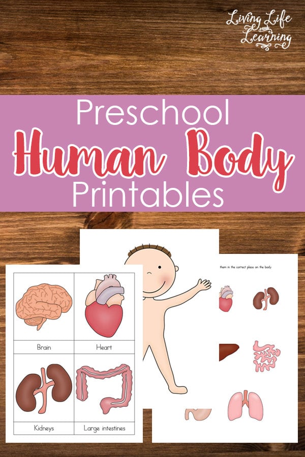 FREE Human Body Pack