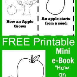 FREE Apple Mini Book