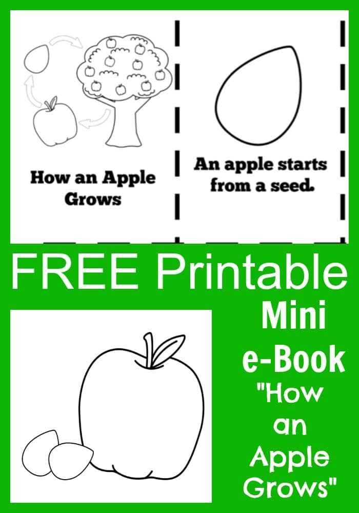 FREE Apple Mini Book