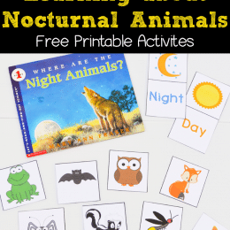 FREE Nocturnal Animals