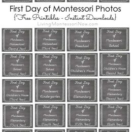 FREE First Day of School Photo Pack