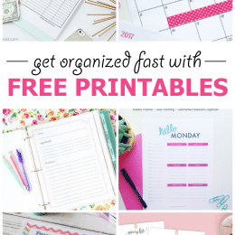 FREE Organization Printables