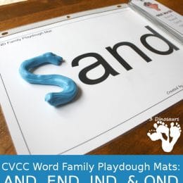 FREE CVCC Word Family Se