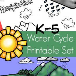 FREE Water Cycle Printables