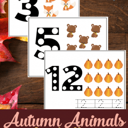 FREE Autumn Counting Mats