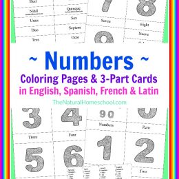 FREE Number Coloring Pages