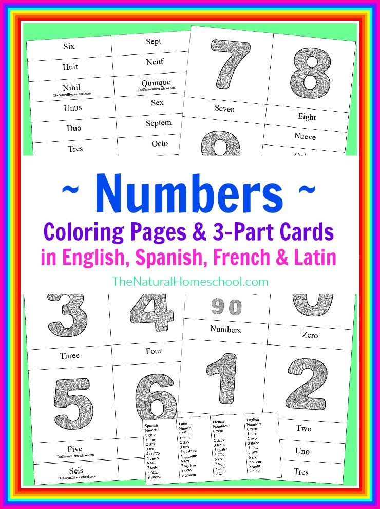 FREE Number Coloring Pages