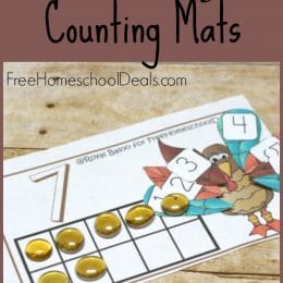 FREE TURKEY THEMED COUNTING MATS (Instant Download)